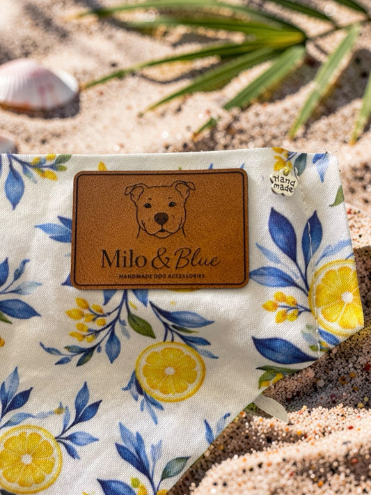 Limoncello Over-the-Collar Bandana
