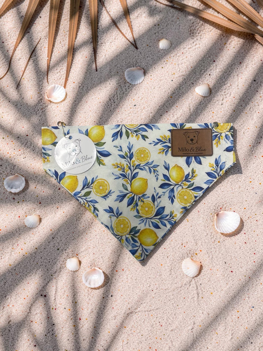 Limoncello Over-the-Collar Bandana