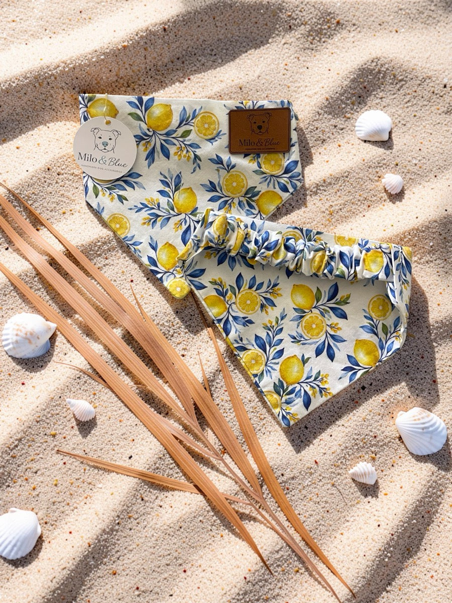 Limoncello Scrunchie Bandana